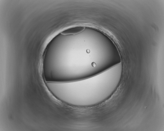 X0000113741520200909230935