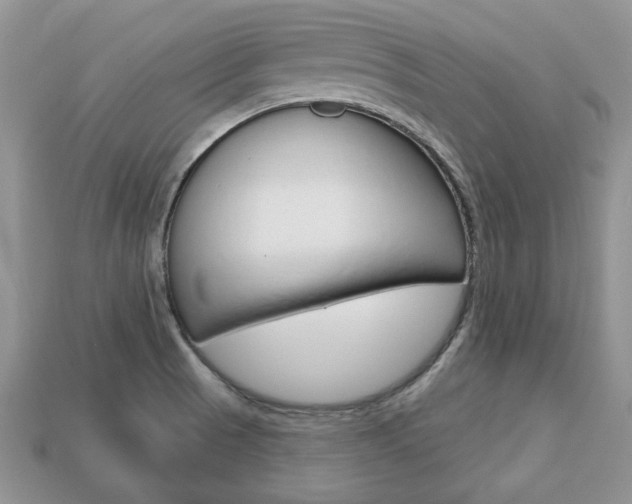 X0000113741521200909230935