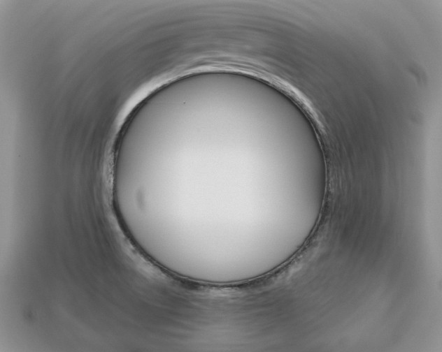 X0000113741522200909230935