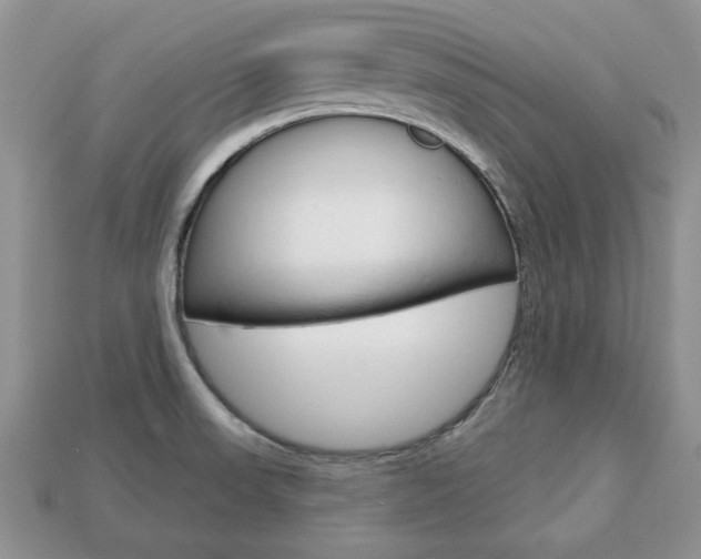 X0000113741523200909230935