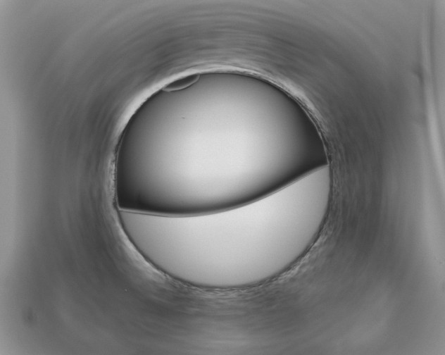 X0000113741524200909230935