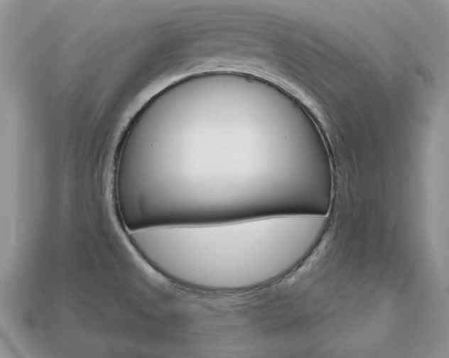 X0000113741525200909230935