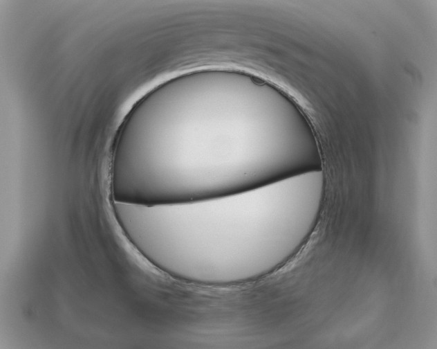 X0000113741526200909230935