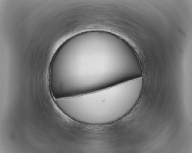 X0000113741527200909230935