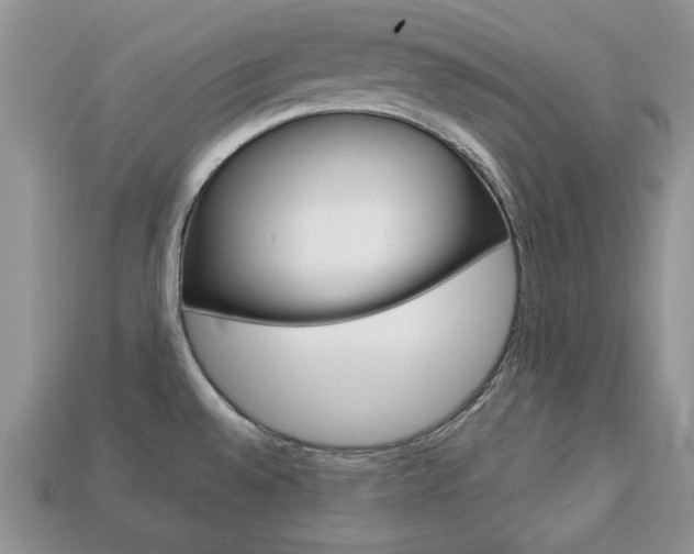 X0000113741528200909230935