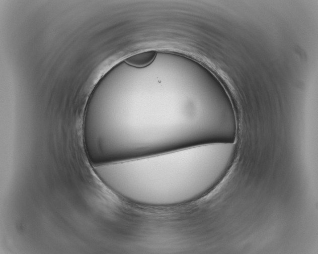 X0000113741529200909230935