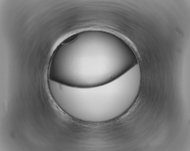 X0000113741530200909230935