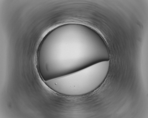 X0000113741531200909230935