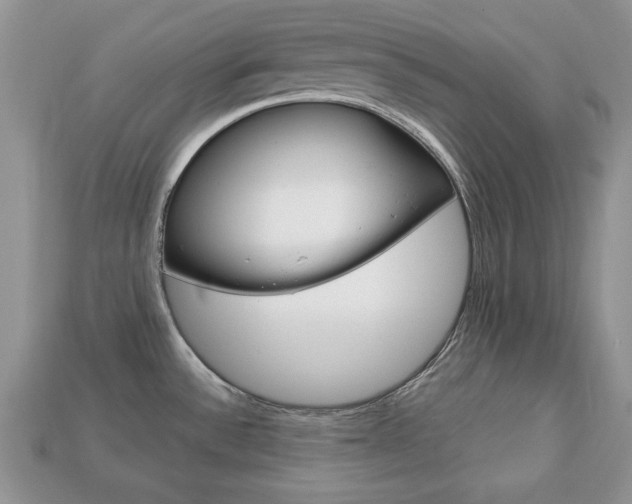 X0000113741532200909230935
