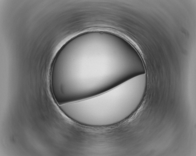 X0000113741533200909230935