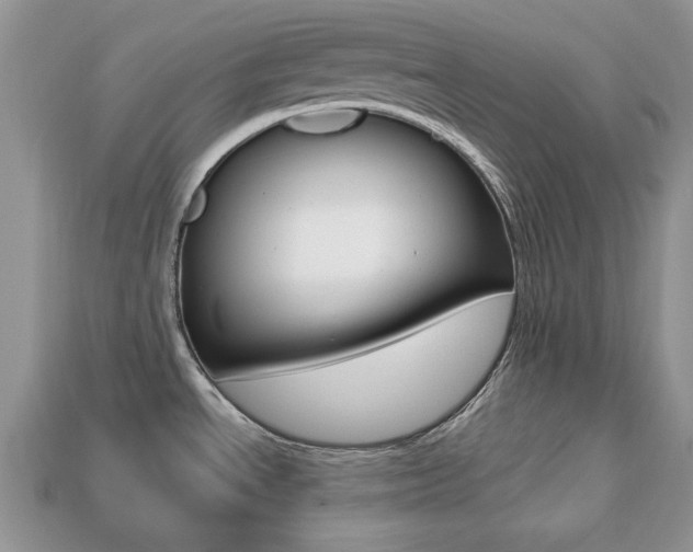 X0000113741534200909230935