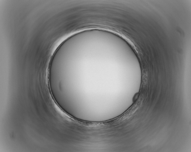 X0000113741535200909230935