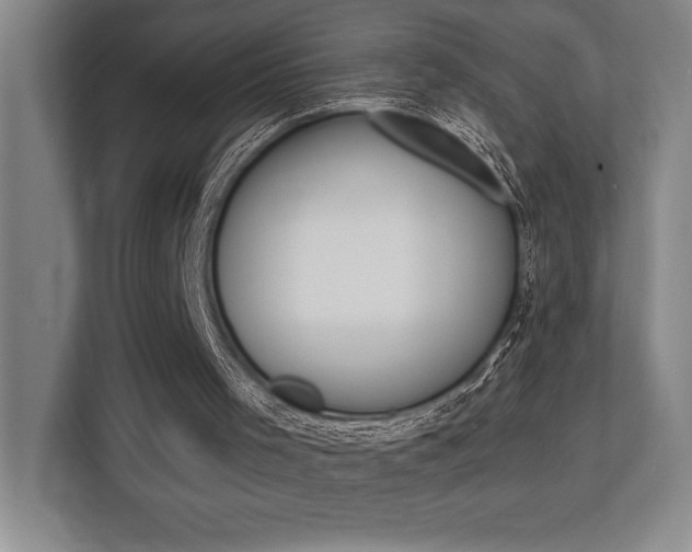 X0000113740001200909231202