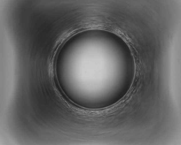 X0000113740002200909231202