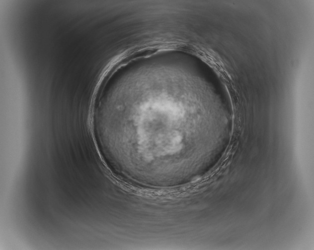 X0000113740003200909231202