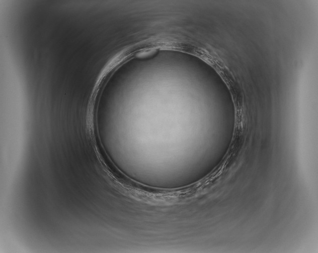 X0000113740004200909231202