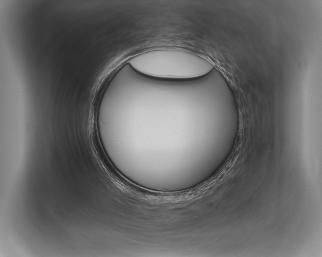 X0000113740005200909231202