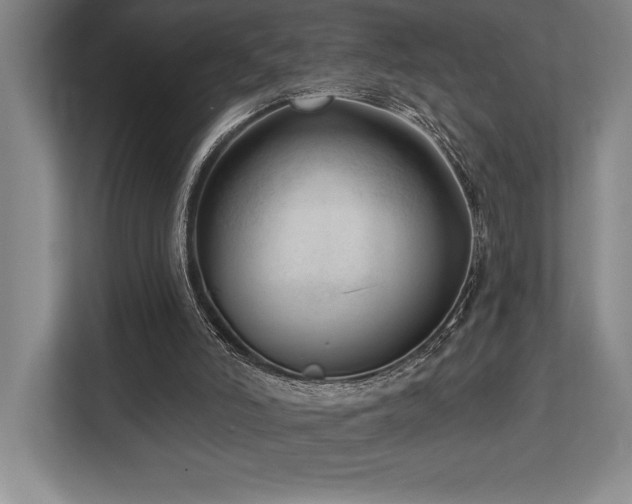 X0000113740006200909231202