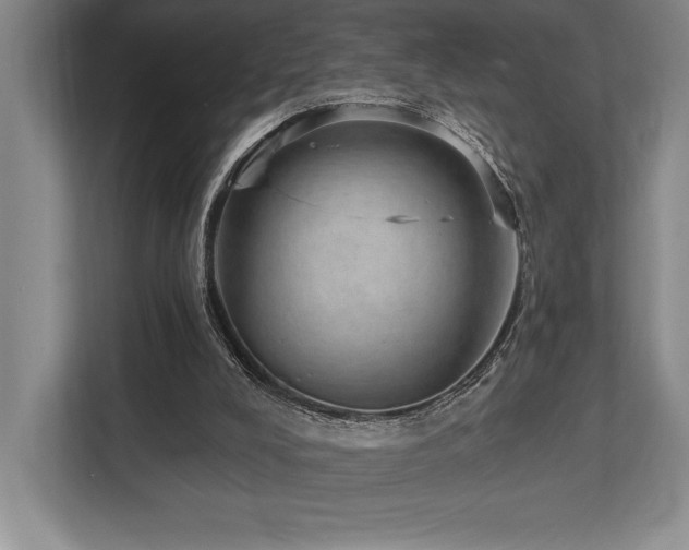 X0000113740008200909231202