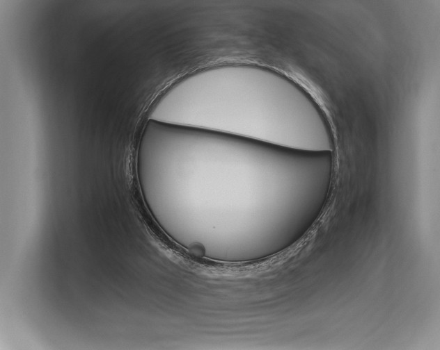 X0000113740009200909231202