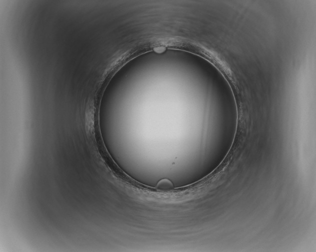 X0000113740010200909231202