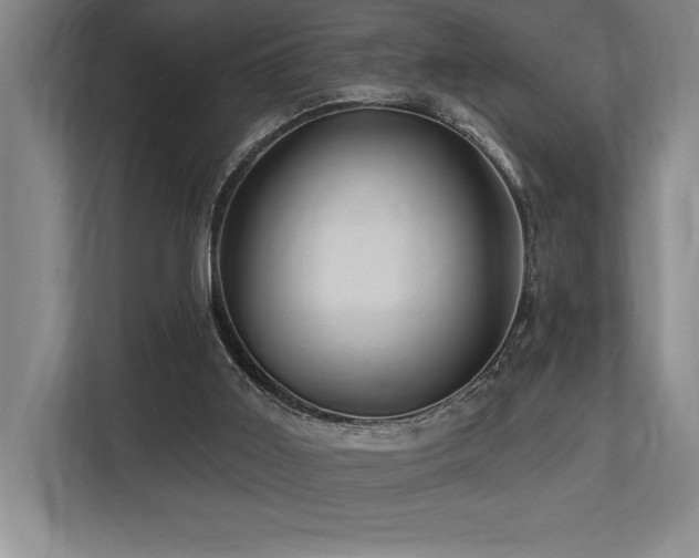 X0000113740011200909231202