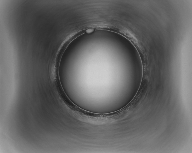 X0000113740012200909231202