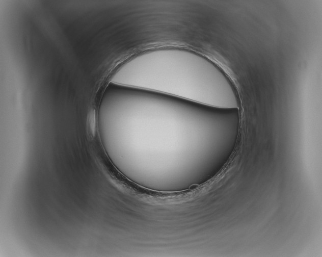 X0000113740013200909231202