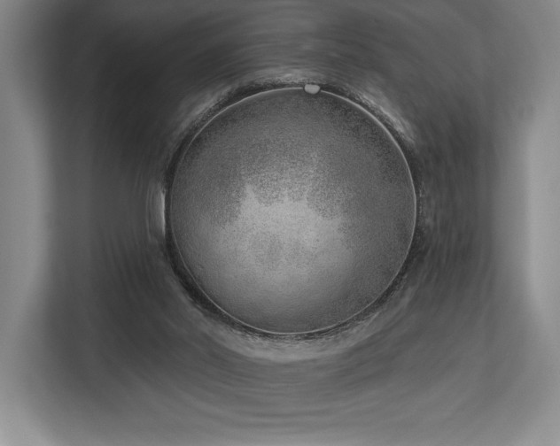 X0000113740014200909231202