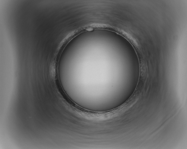 X0000113740015200909231202