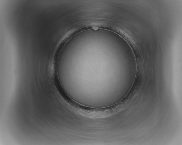 X0000113740016200909231202