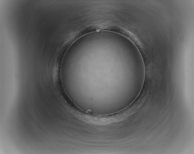 X0000113740018200909231201