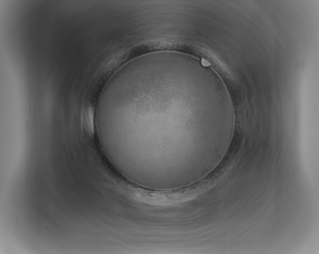 X0000113740022200909231201