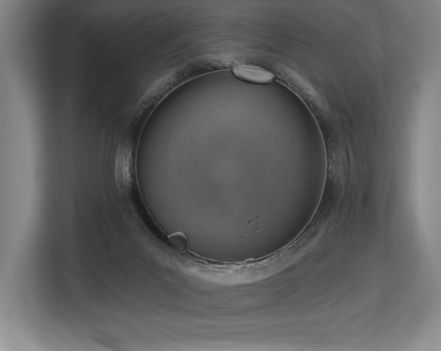 X0000113740023200909231201