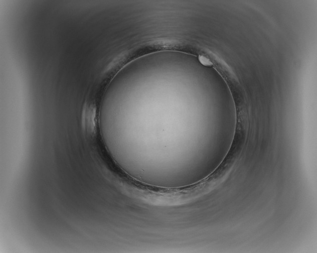 X0000113740024200909231201