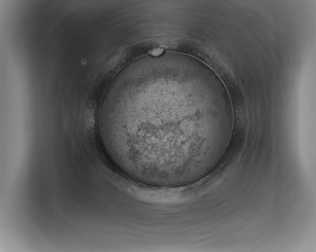 X0000113740032200909231201