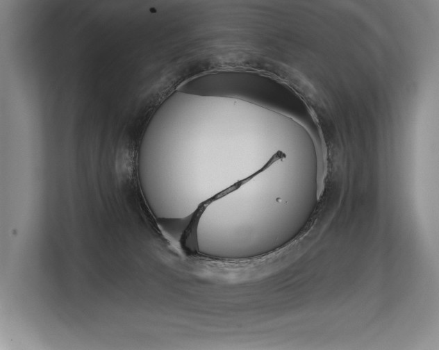 X0000113740033200909231201