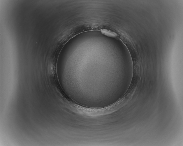 X0000113740039200909231201