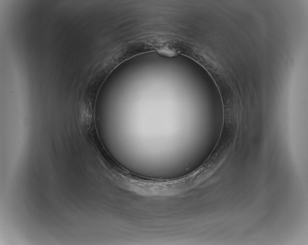 X0000113740040200909231201