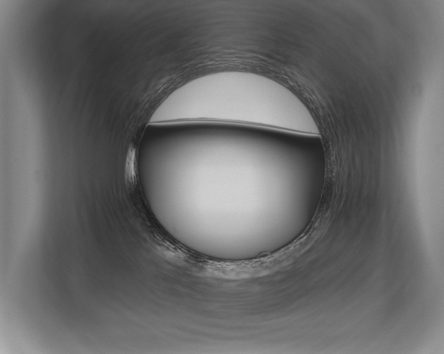 X0000113740041200909231201