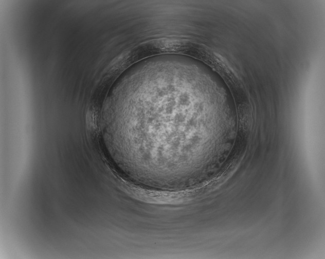 X0000113740044200909231201