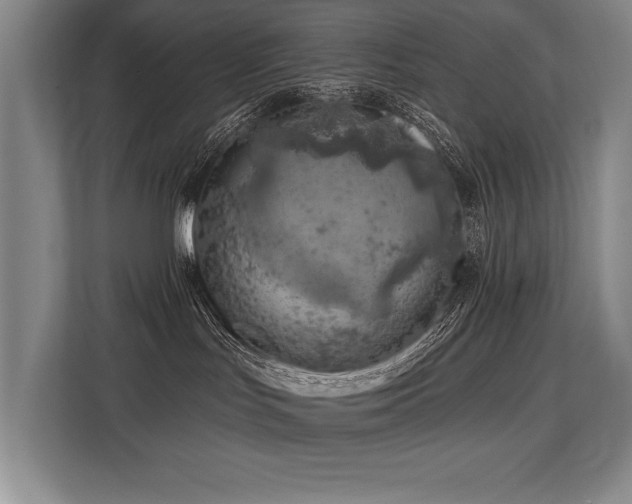 X0000113740047200909231201