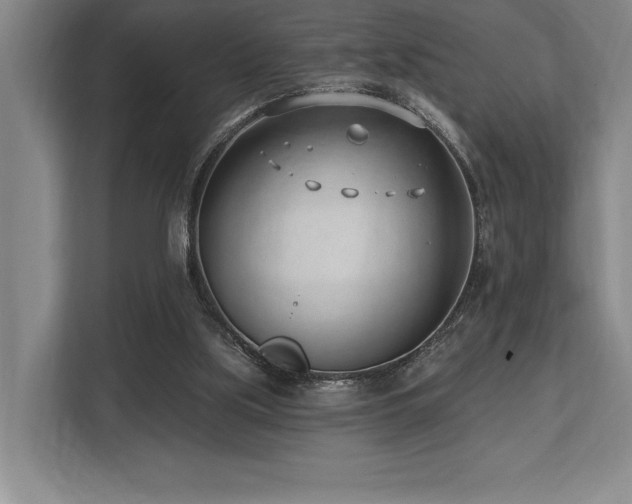 X0000113740059200909231201