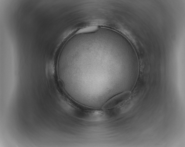 X0000113740060200909231201