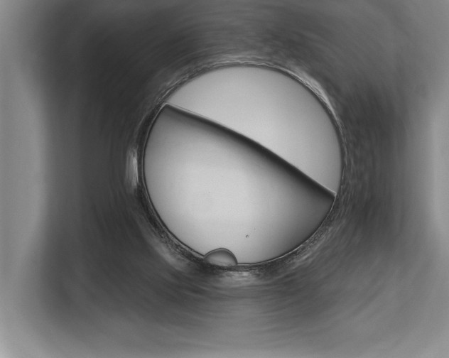 X0000113740061200909231201