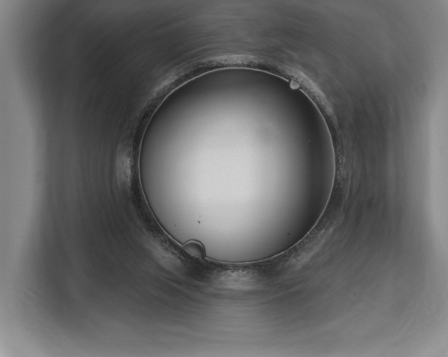 X0000113740063200909231201