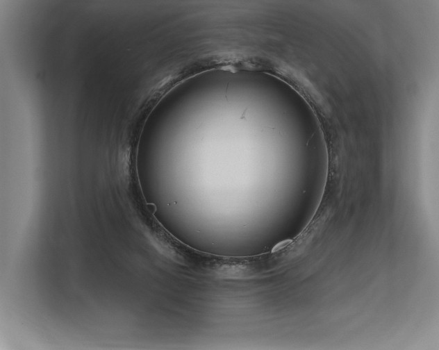 X0000113740066200909231201