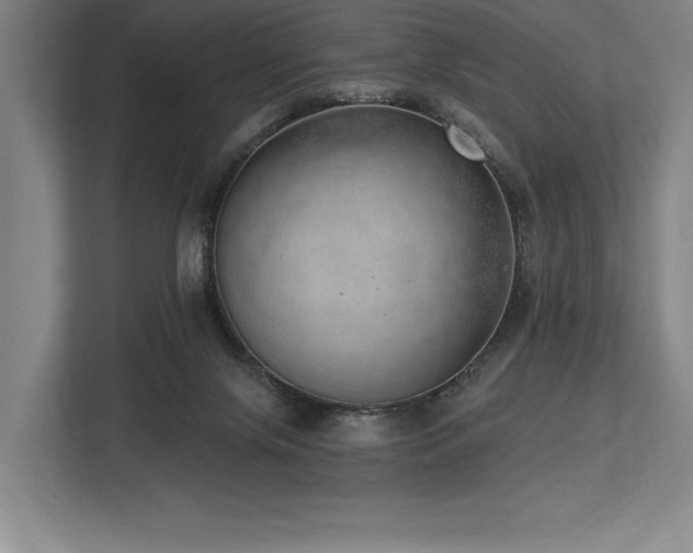 X0000113740071200909231201