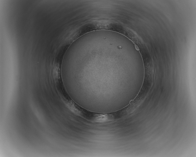 X0000113740083200909231201