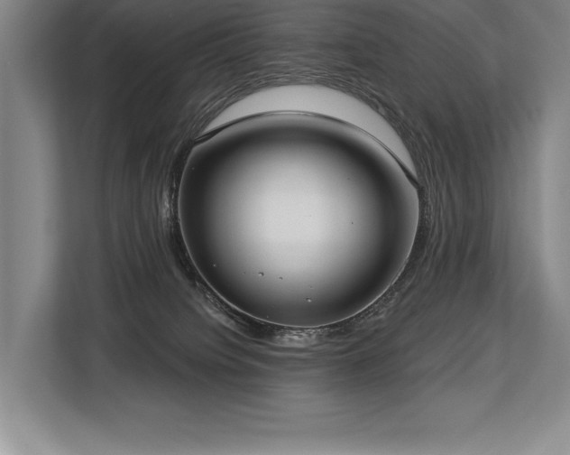 X0000113740084200909231201